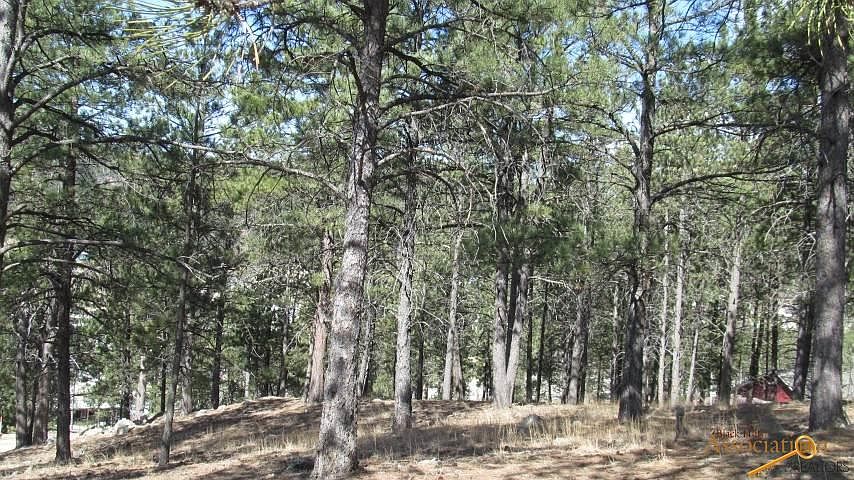 1st image of Pine Mountain Ave