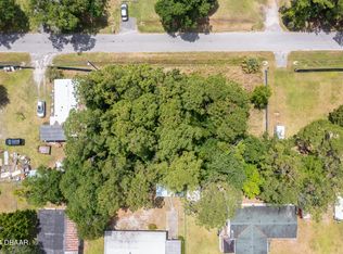 0 Armadillo Rd LOT 5, Astor, FL 32102