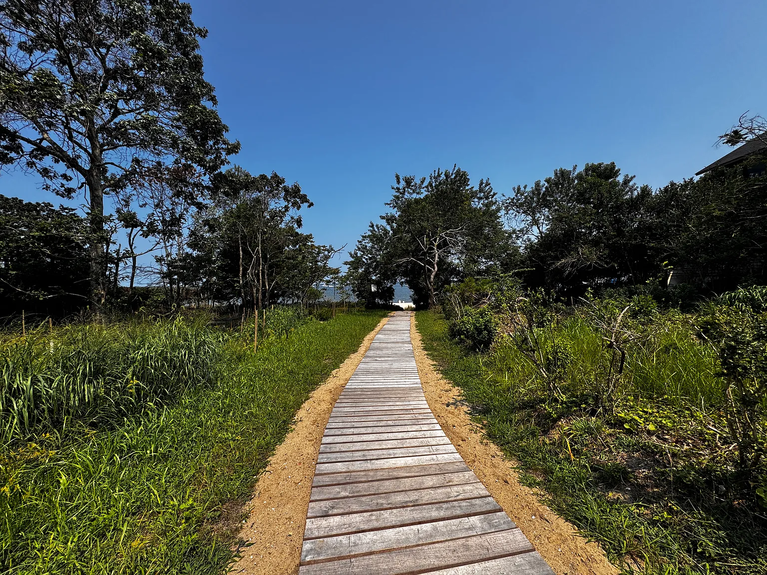 A modernist approach to mindful living — Photo 2