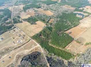 1325 Cubie Rd, Effingham, SC 29541