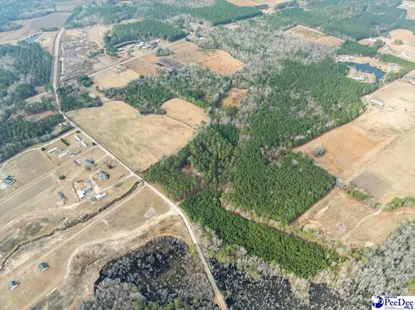 1325 Cubie Rd, Effingham, SC 29541