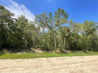 34188 Mineral Stone Dr #2, Webster, FL 33597