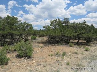 30025 Teal, Buena Vista, CO 81211