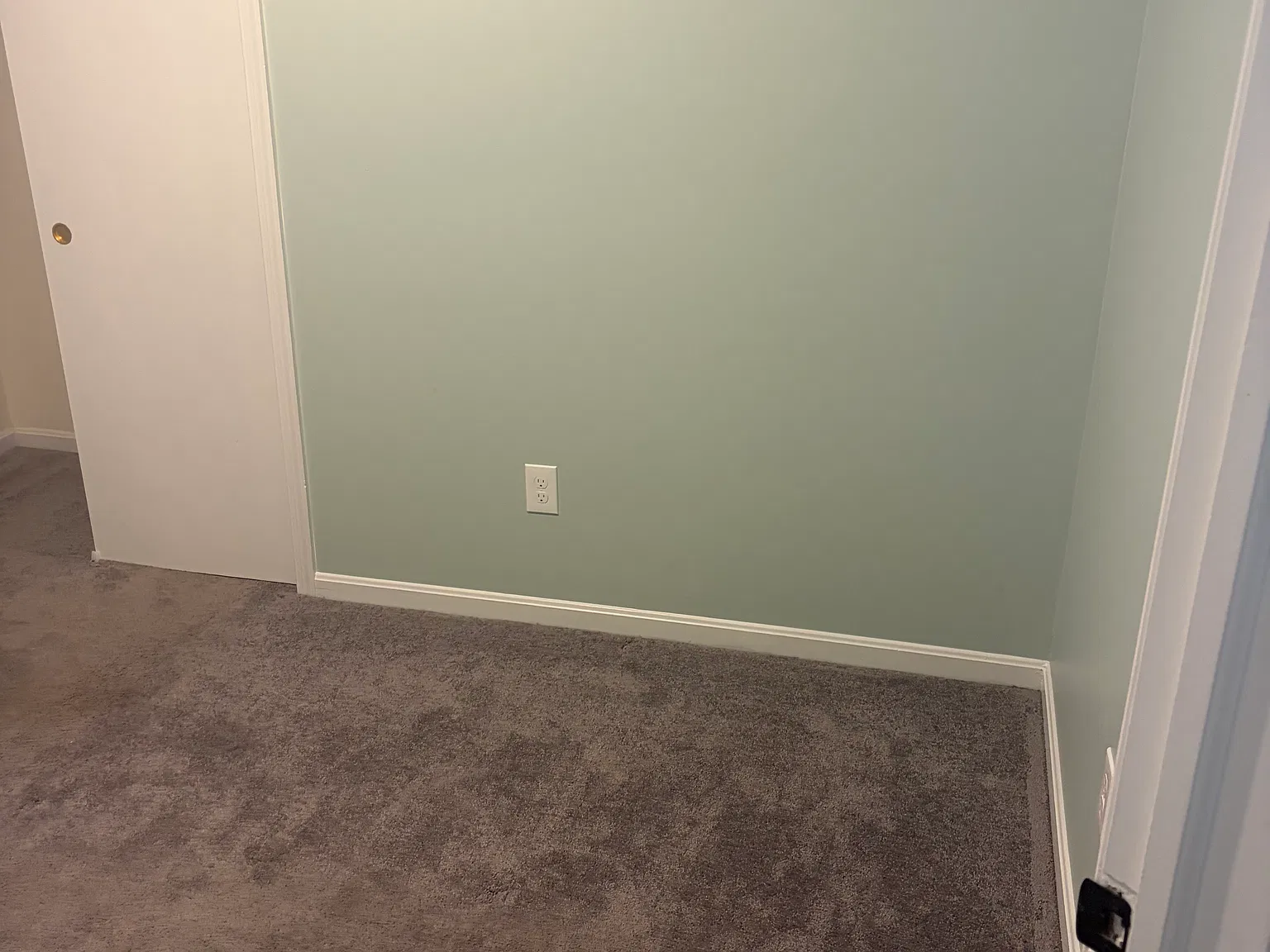 3705 Blueberry Dr — Photo 4