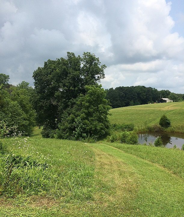 2nd image of 1599 Pea Ridge Rd