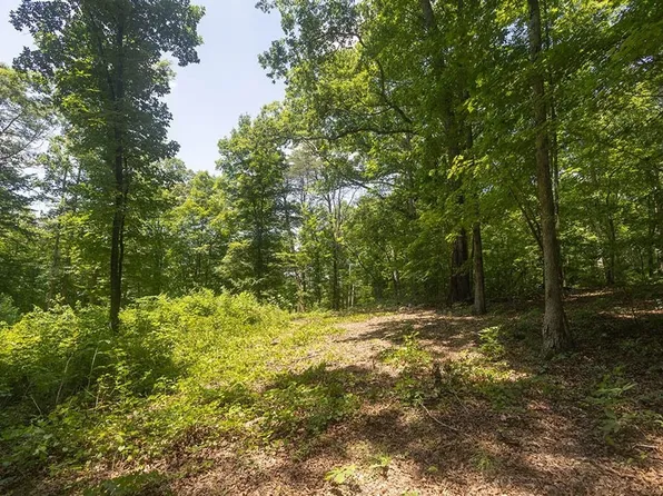 LOT 9 County Road 5, Calhoun, TN 37309