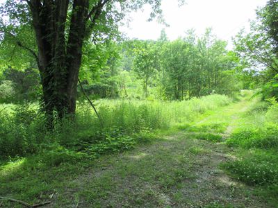 2024 Parksville Rd, Benton, TN, 37307