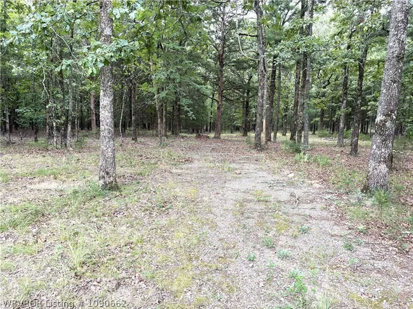 1716 Dry Hill Rd, Chester, AR 72934