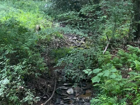 Chicken House Run, Marlinton, WV 24954