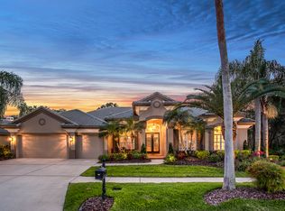 9825 Emerald Links Dr, Tampa, FL 33626