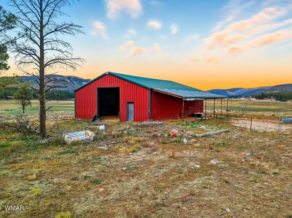 42856 Us Highway 180, Alpine, AZ 85920
