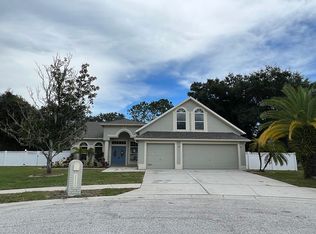 22206 Feather Nest Ct, Lutz, FL 33549