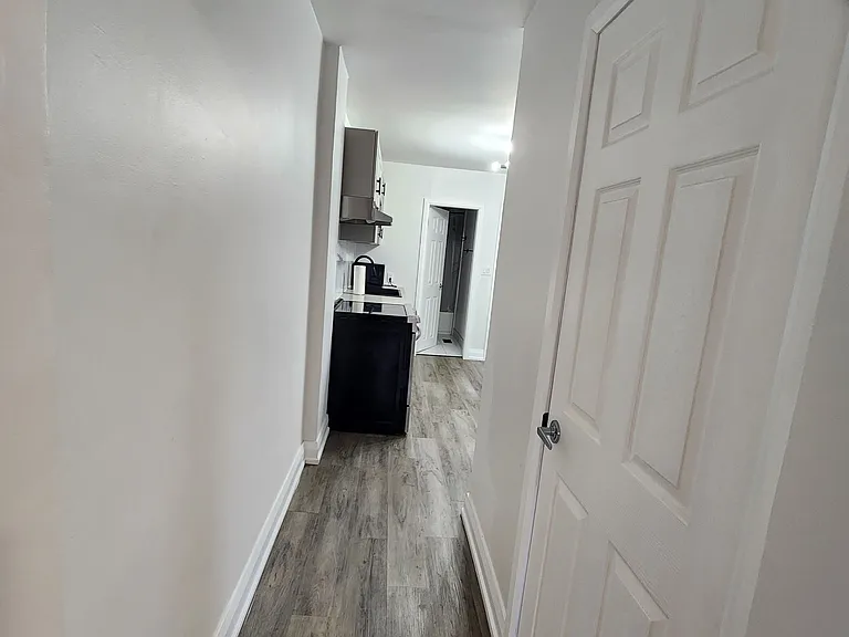 731 Saint Antoine St — Photo 18