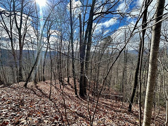 3rd image of 51 Mountain Overlook