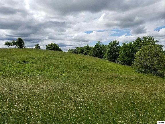 4th image of 1602 Brahman Ln