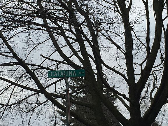 5th image of 1211 Catalina Dr