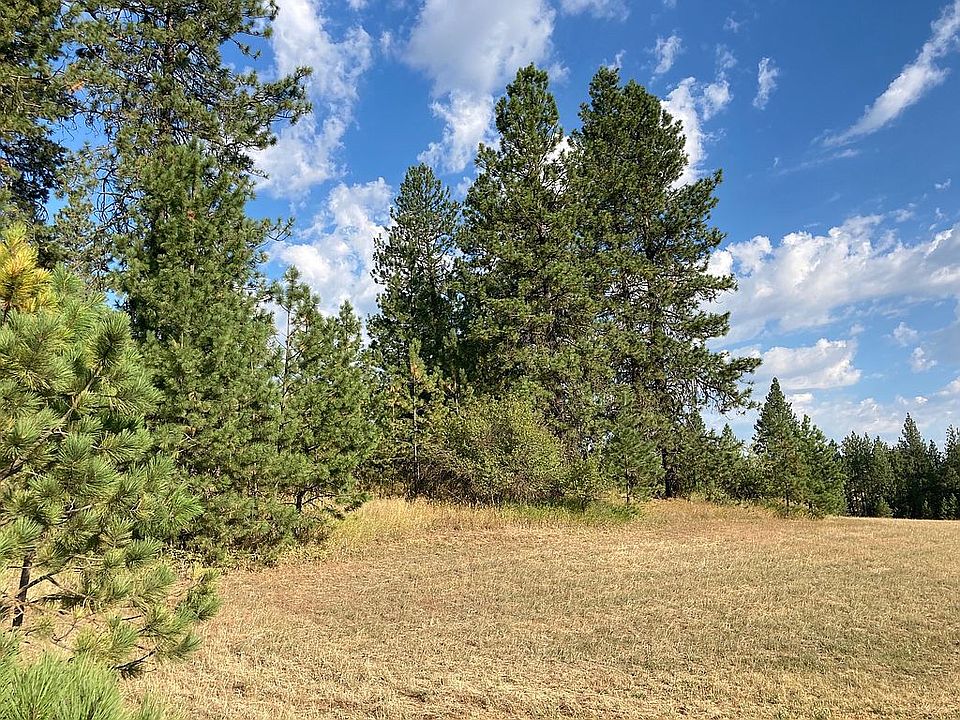 Beautiful trees and fields