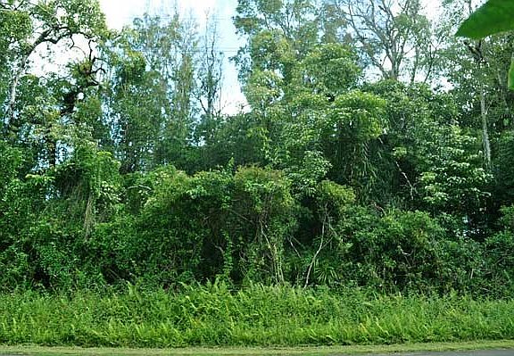 4th image of Malama St Lot 43