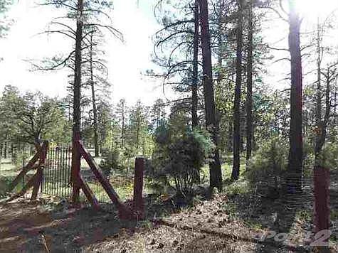 4th image of 4638 Larkspur Rd