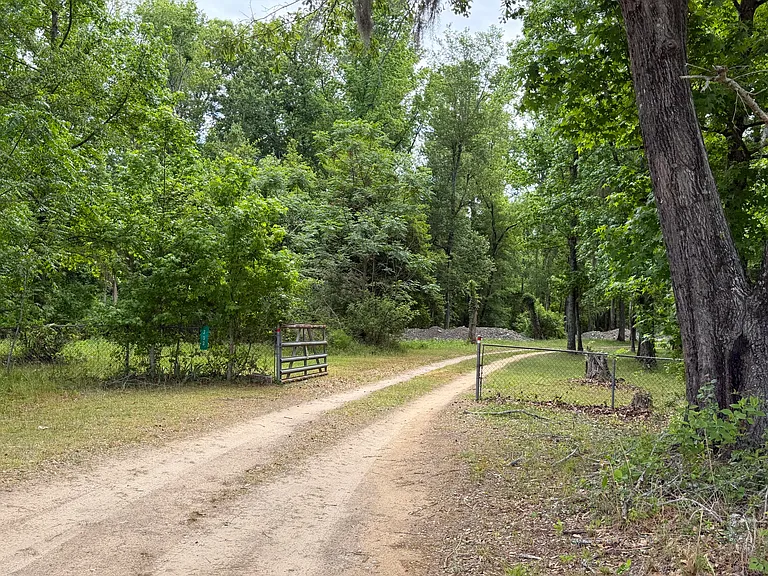209 Verdi Ln — Photo 4