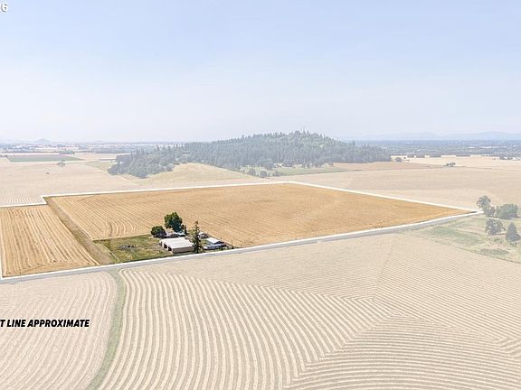 3rd image of 34976 Kamph Dr