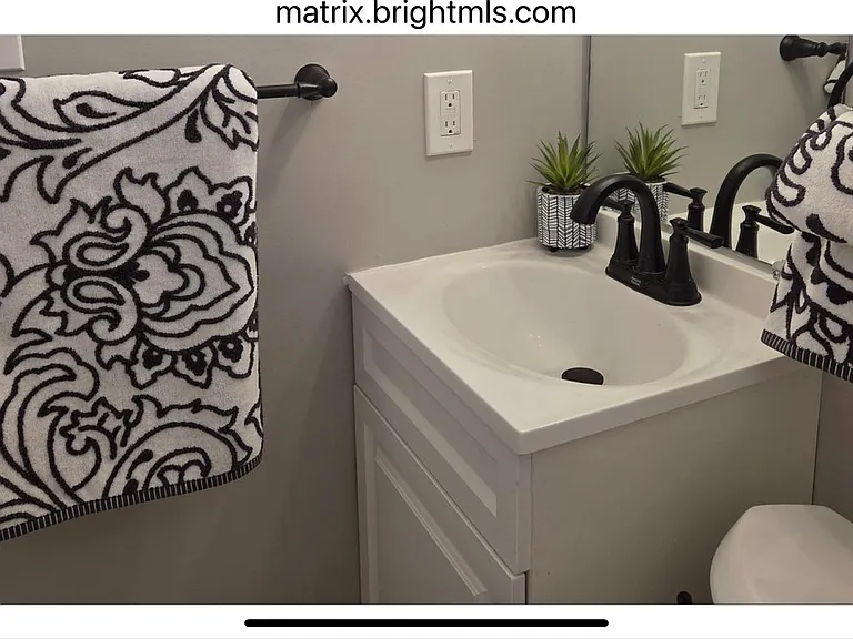 Lower-Level Bathroom (2)