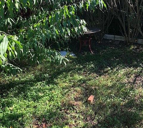 5th image of 14906 Plumtex Dr