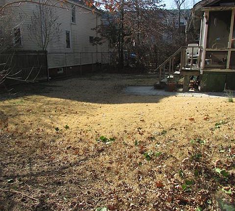 5th image of 8201 138th St