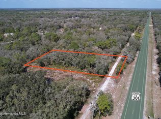 8055 Treiman Blvd, Webster, FL 33597