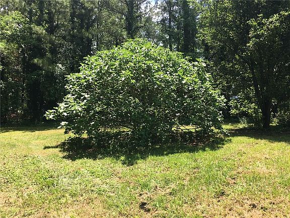 3rd image of 771 Lee Road 454
