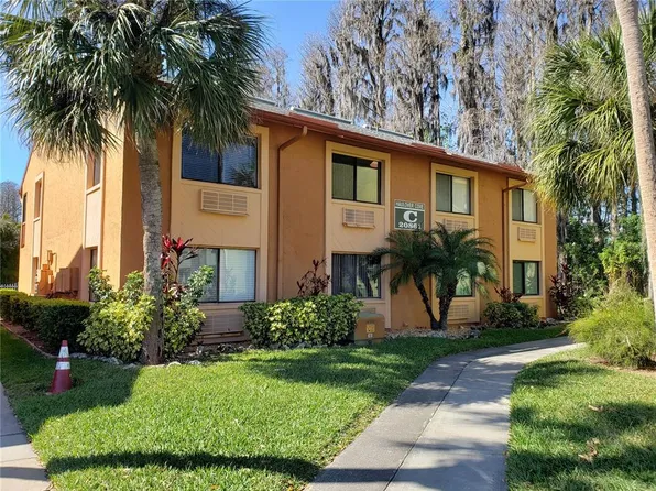 20861 HAULOVER COVE #6, LUTZ, FL 33558