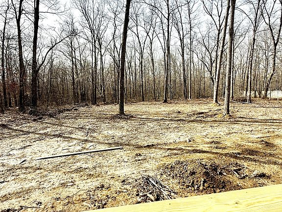 5th image of 262 Winterberry Cir Lot 47