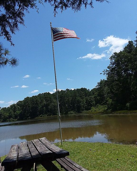 View of the Lake
