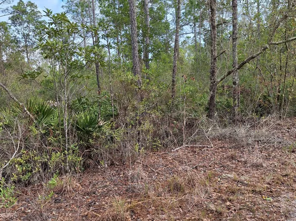 00 E ST JOHNS State Road, Palatka, FL 32177