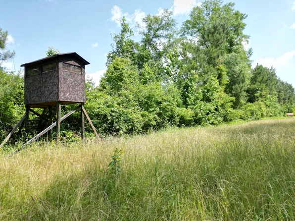 County Road 2337, Bay Springs, MS 39422