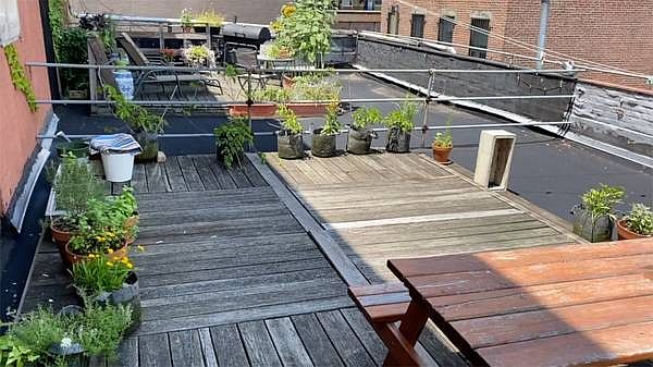 1st image of 113 E 125th St #3