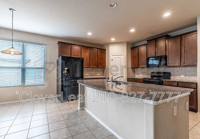 3734 Ox Eye Daisy — Photo 16