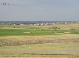 7049 Aladar Dr, Windsor, CO 80550