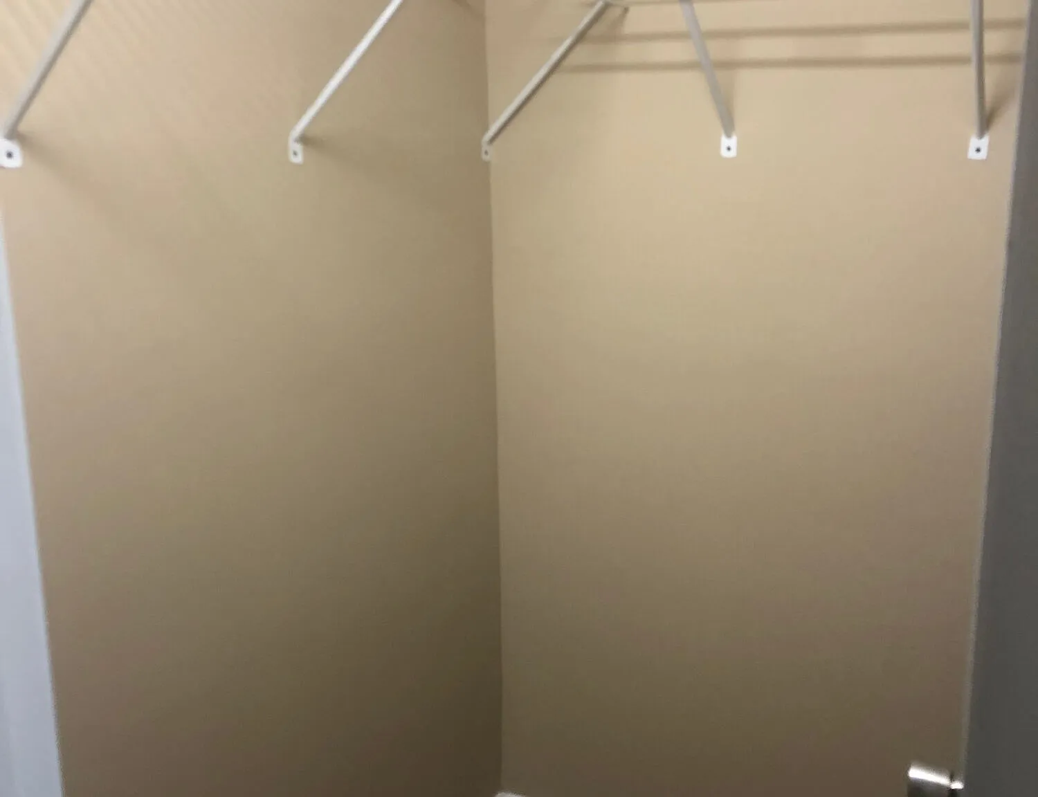 Gallatin Flats — Photo 4