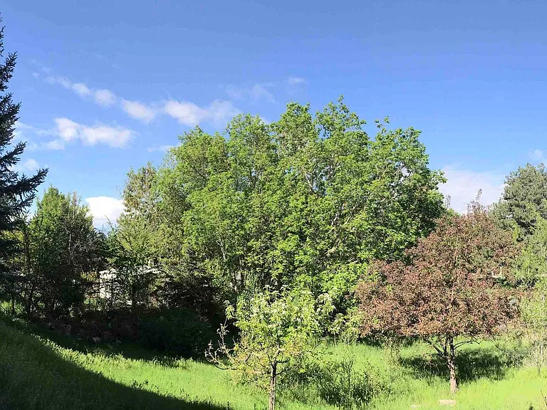 3837 Foothill Dr — Photo 13