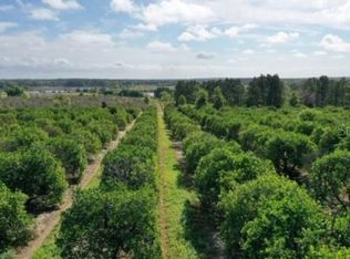 0 Turkey Lake Rd, Howey In The Hills, FL 34737