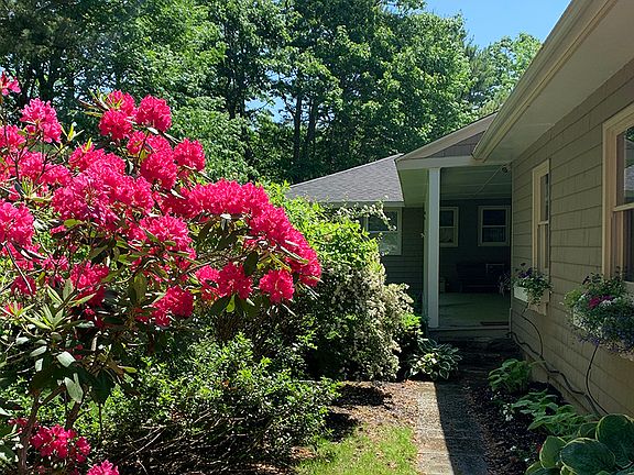 Front walk in June