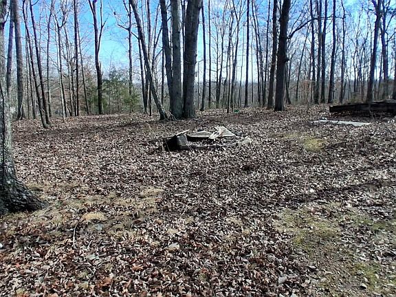 5th image of 1201 Tie Camp Rd