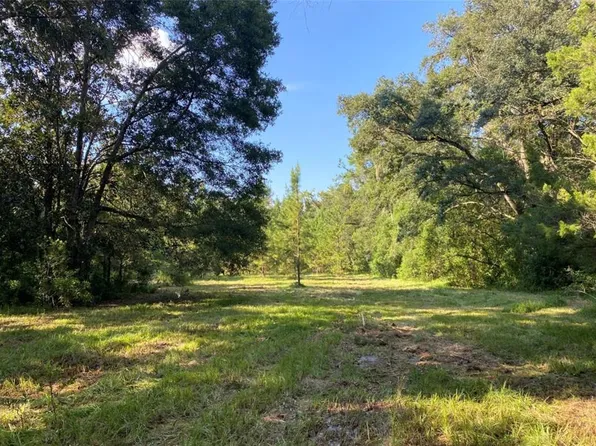 18451 Powell Rd, Brooksville, FL 34604