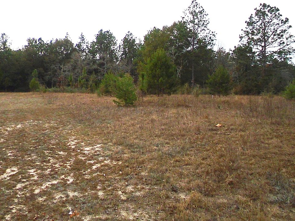 2nd image of Cottonwood Dr