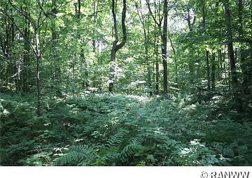 4th image of Lot 3 Lambert Avenue