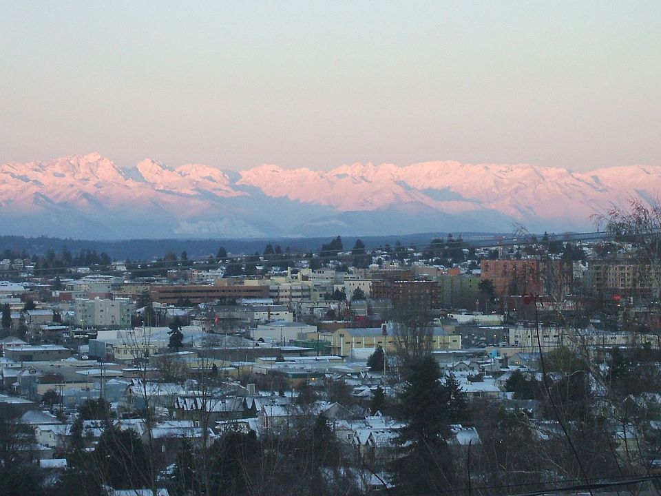 View from Living Room
