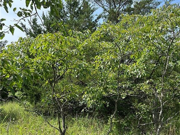 4th image of TRACT 1 E 1090th Rd