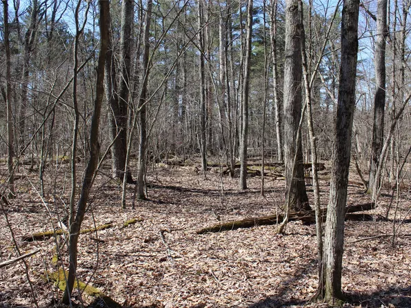 Lot 4 Resewood Avenue, Neillsville, WI 54456