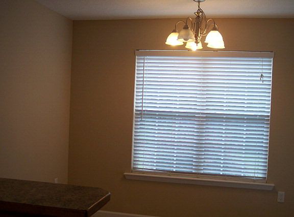 5th image of 4182 Shelby Ln